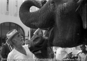 Keenan Wynn and Anna Mae the elephant