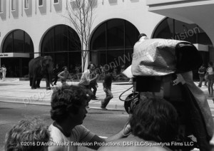 Filming Anna Mae's rampage